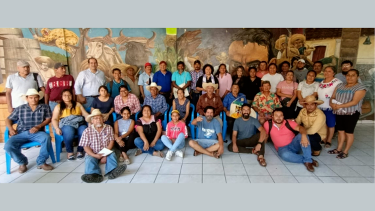 Memoria Colectiva, asistencia técnica, gestión del conocimiento e innovación social entre productores de agave y mezcal de la región Centro de Guerrero